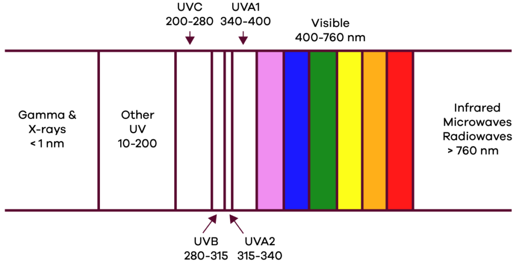 Diagram of electromagnetic spectrum with focus on skin damaging wavelengths