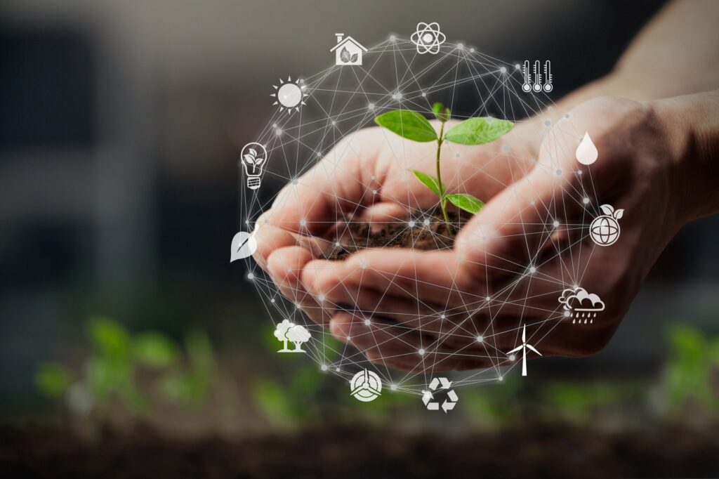 Photo of hands holding fragile plant